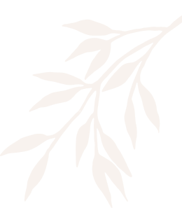 Zhong Xin TUINA Massage