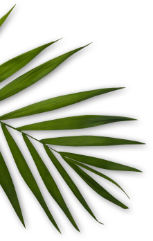 Zhong Xin TUINA Massage